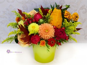 Abundenta florilor Abundenta florilor